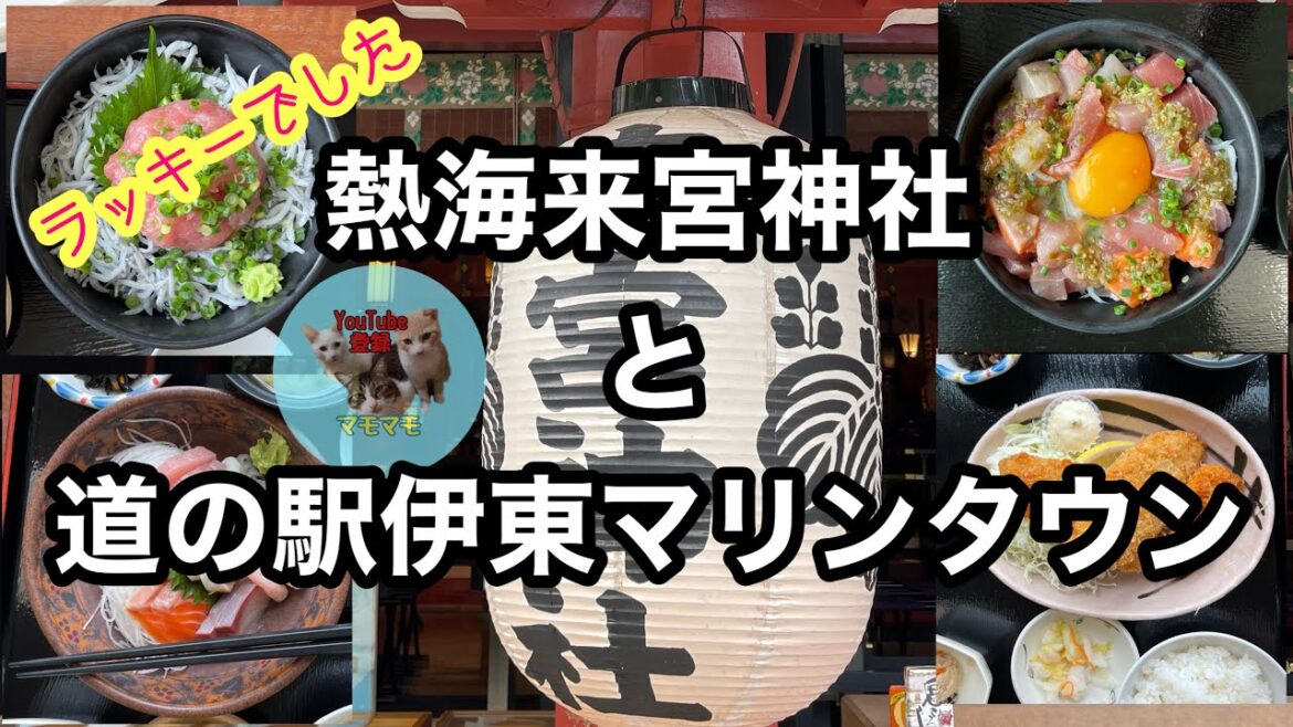 静岡県旅行最終回です！　熱海来宮神社と道の駅伊東マリンタウンに行って来ました！